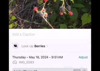 The iPhone tricks you didn’t know about – and one of the hacks can even help you get to sleep