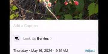 The iPhone tricks you didn’t know about – and one of the hacks can even help you get to sleep