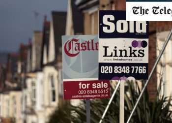 House purchases delayed by ‘global payments issue’