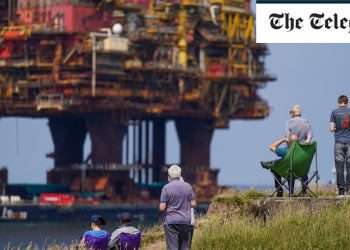 $100bn wiped off Nvidia amid tech bubble fears