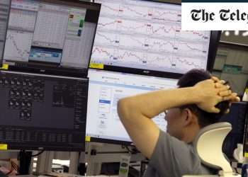 Global stock markets plunge amid fears of US ‘collapse’