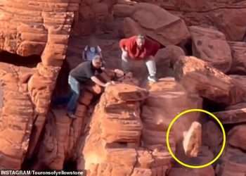 Huge update after destruction of protected and delicate natural rock formations in beloved national park