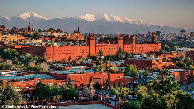 Inside an all-inclusive Marrakech Tui hotel minutes from the Medina with fruit trees and tortoises in the garden (and food that will surprise you)