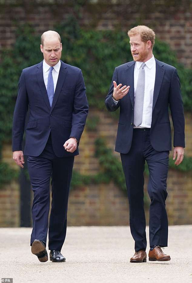 Prince William and Harry’s ‘reunion’: Duke of Sussex joined his brother at uncle’s funeral after secret dash to the UK from LA… but did they speak?