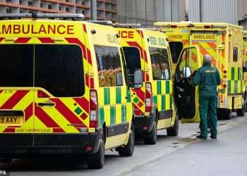 UK ambulance service pulls X account for allowing ‘offensive’ content not compatible with its values