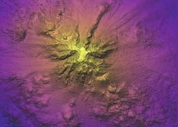 Deep sea expedition uncovers 20 never-before-seen species living on a huge underwater mountain on the Nazca Ridge – including a sea toad, two flying spaghetti monsters, and a Casper octopus