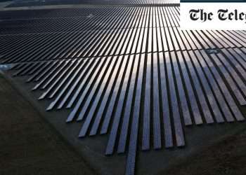 Solar panel giant to axe a fifth of its workforce