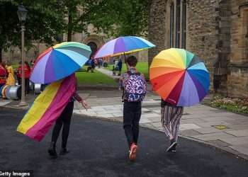 UK’s trans population may be smaller than first thought as Census figure axed over confusing question