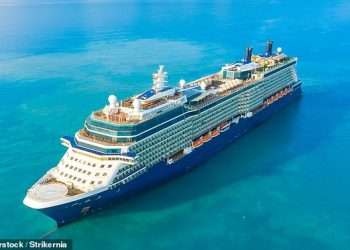 I’m an ex-USDA food expert – here’s how to avoid stomach bugs when eating on vacation and cruises