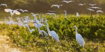 I’m the Daily Mail’s travel editor and have visited 76 countries. Here are the ones you MUST see – as well as the most overrated destinations