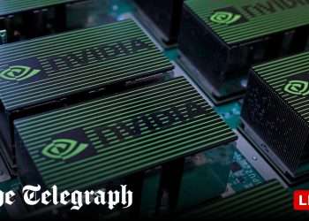 Tech bubble fears spark $160bn Nvidia slump