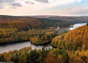 Twelve breathtaking pictures of Britain smothered in autumn colours, from meandering rivers to magical tree ‘tunnels’ and spectacular Highland valleys