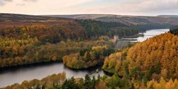 Twelve breathtaking pictures of Britain smothered in autumn colours, from meandering rivers to magical tree ‘tunnels’ and spectacular Highland valleys