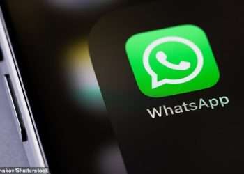 WhatsApp takes on Zoom: Meta’s messaging app now lets you add filters and backgrounds to your video calls – here’s how to try it