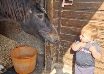 Death of a two-year-old boy who was killed when fireplace collapsed on top of him as he danced with his cousin in family home was accidental, inquest rules