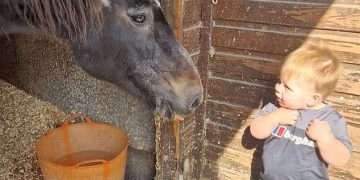 Death of a two-year-old boy who was killed when fireplace collapsed on top of him as he danced with his cousin in family home was accidental, inquest rules