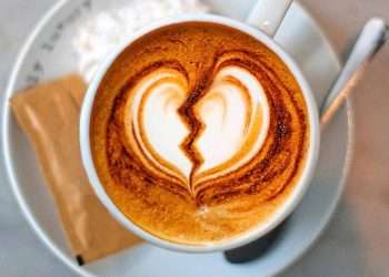 The trendy ‘healthy’ alternative to cow’s milk that may be RAISING your heart attack risk