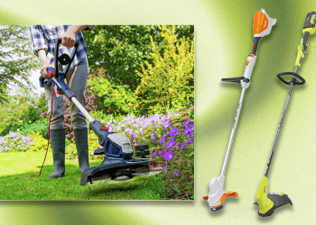 Best cordless strimmers and grass cutters 2025, tried and tested