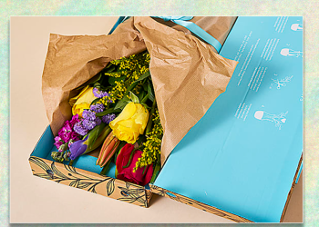 Best letterbox flowers in the UK 2025