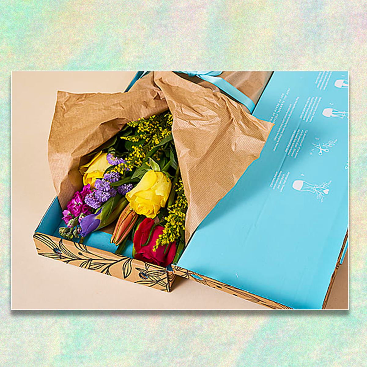 Best letterbox flowers in the UK 2025