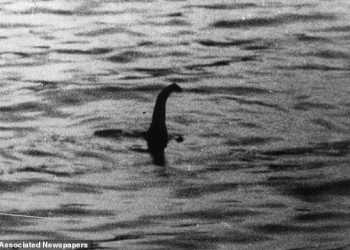 Best proof of the Loch Ness Monster yet: Hunter is stunned as a double-humped creature emerges from the water – and says ‘the only possibility is Nessie’