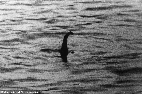 Best proof of the Loch Ness Monster yet: Hunter is stunned as a double-humped creature emerges from the water – and says ‘the only possibility is Nessie’