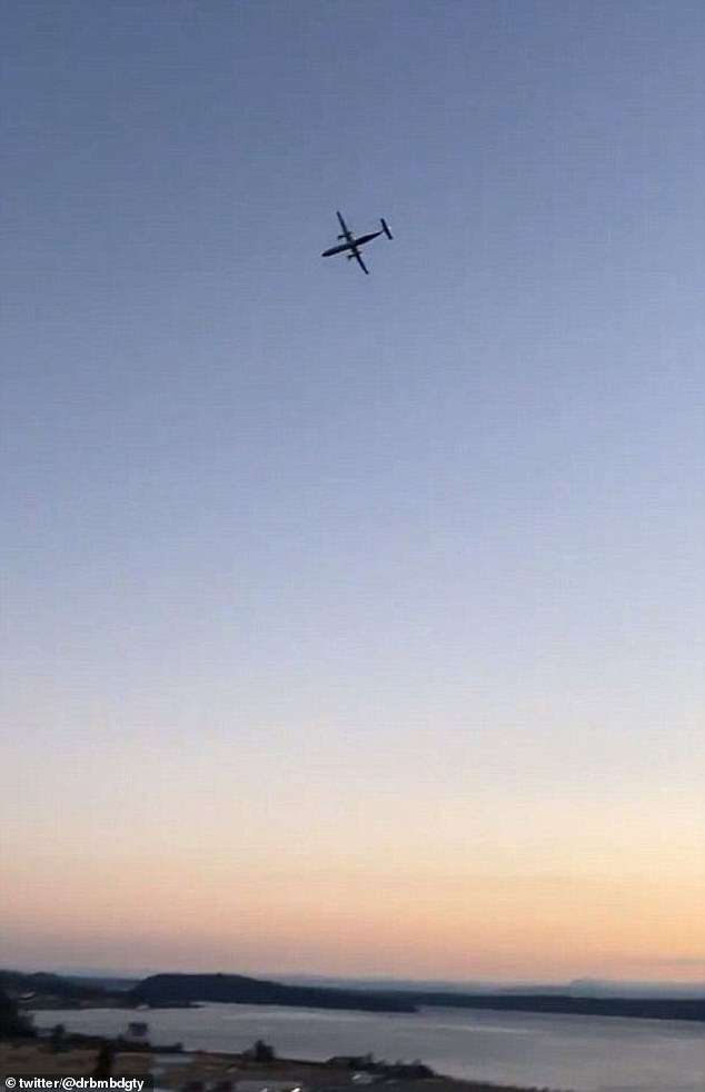 Flight of the Sky King: Astonishing story of a US airport worker who’d never flown but stole a plane for a 75-minute joyride then crashed on a remote island after a near-impossible barrel roll 10ft above a lake