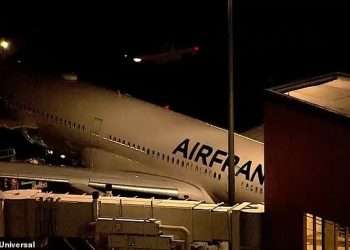 Plane horror as passenger dies on board Air France flight from Paris to Boston despite doctor trying to save them