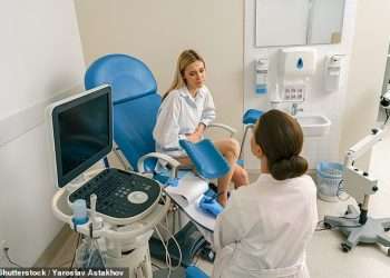 Where your risk of catching an STD is highest across America