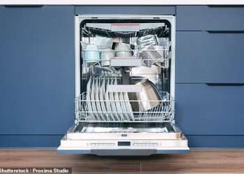 You’ve been running your dishwasher wrong! Experts reveal the popular cycle you should NEVER use