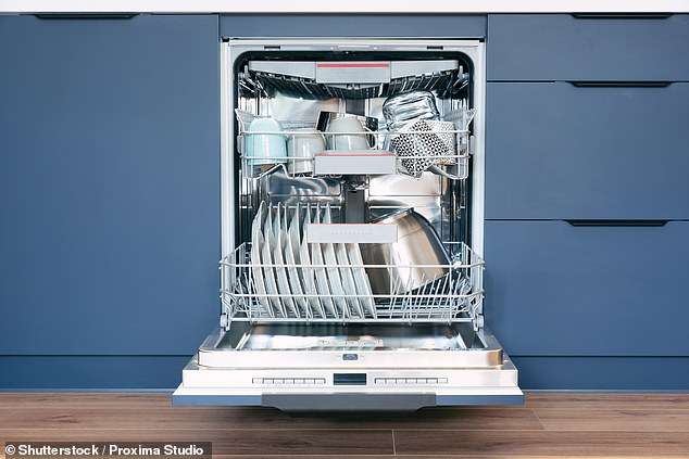 You’ve been running your dishwasher wrong! Experts reveal the popular cycle you should NEVER use