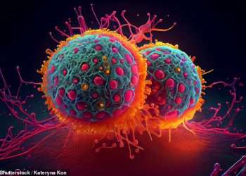 Cancer breakthrough as scientists discover ‘switch’ that reverses disease