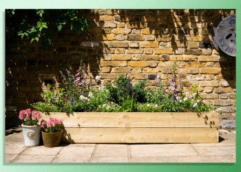 Dig Club review: A flower bed delivered to your door