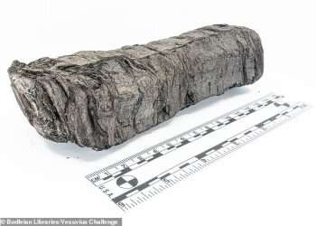 Peer inside the Herculaneum scroll for the first time in 2,000 years: Scientists use AI to virtually unfurl a ‘badly burnt’ manuscript that was charred during the eruption of Mount Vesuvius