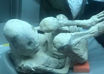 Scientists studying ‘alien mummies’ from Peru claim bodies are ‘100% real’ after new details emerge