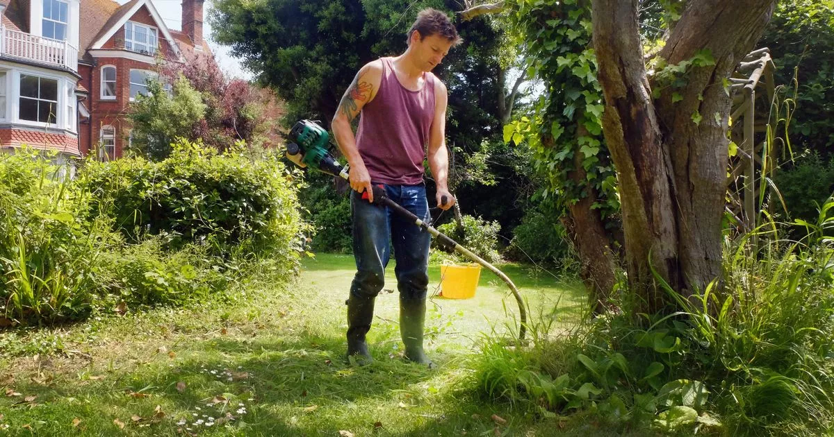 Amazon slash £20 off ‘super’ strimmer in ‘league of its own’ in time for first grass cut of the year