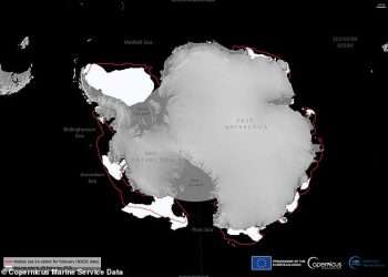 Antarctic sea ice drops to a near-record LOW: Shocking maps reveal how the South Pole is missing thousands of miles of ice – and scientists say global warming is to blame