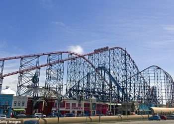 Major theme park closes five rides and reduces opening hours for others after £2.7million loss