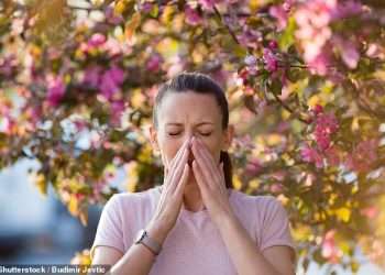 You’ve been taking your hay fever pills wrong! Expert reveals what 16million Brits need to do TODAY to avoid misery when pollen season hits