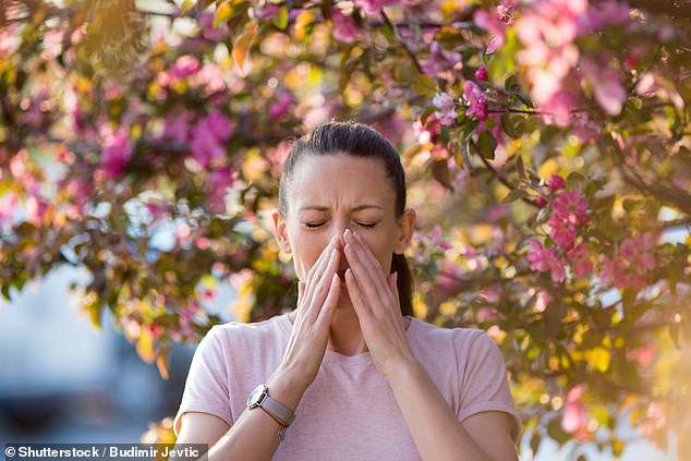 You’ve been taking your hay fever pills wrong! Expert reveals what 16million Brits need to do TODAY to avoid misery when pollen season hits