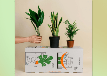 Best places to buy plants 2025: Online garden centres and nurseries with home delivery