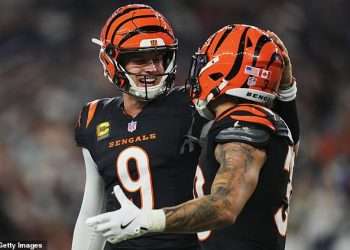 Cincinnati Bengals could be moving to another city, warns owner’s daughter