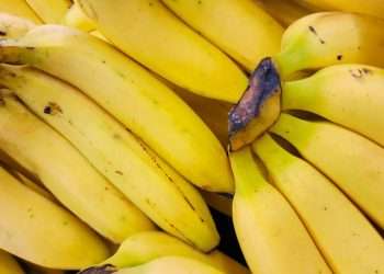 Clever banana storage hack will keep fruit fresh for up to 14 days