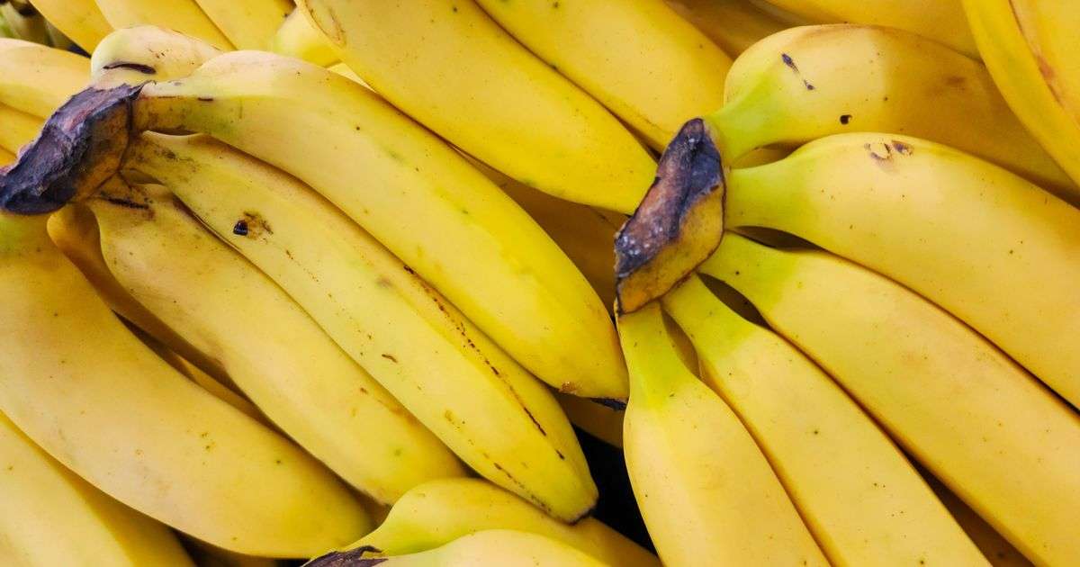 Clever banana storage hack will keep fruit fresh for up to 14 days