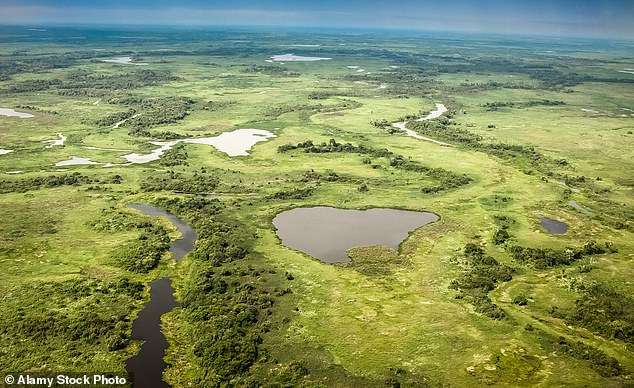 I stayed in Brazil’s Pantanal, where you can see the world’s biggest jaguars and largest flying parrots