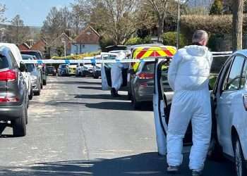 Man, 57, dies and woman and boy are left seriously injured after ‘berserk’ attack at home in Brighton – as man, 19, is arrested