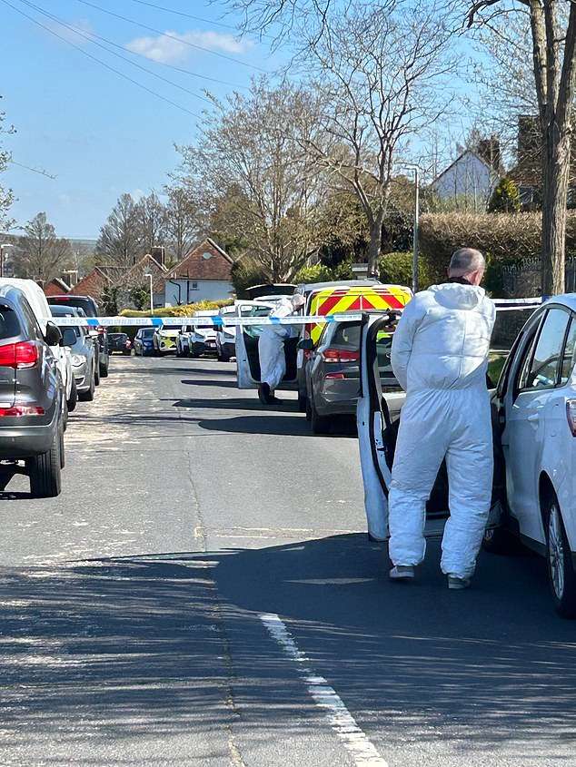 Man, 57, dies and woman and boy are left seriously injured after ‘berserk’ attack at home in Brighton – as man, 19, is arrested