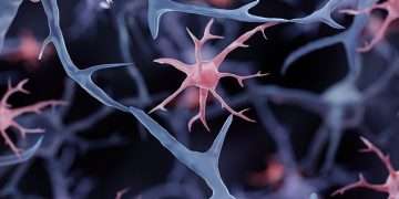 Scientists create first reprogrammed brain cells that could cure Alzheimer’s