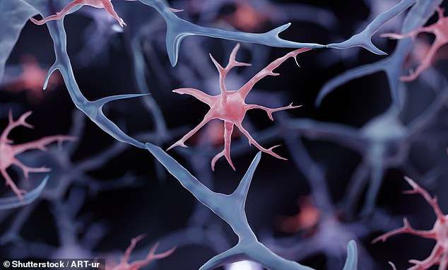 Scientists create first reprogrammed brain cells that could cure Alzheimer’s