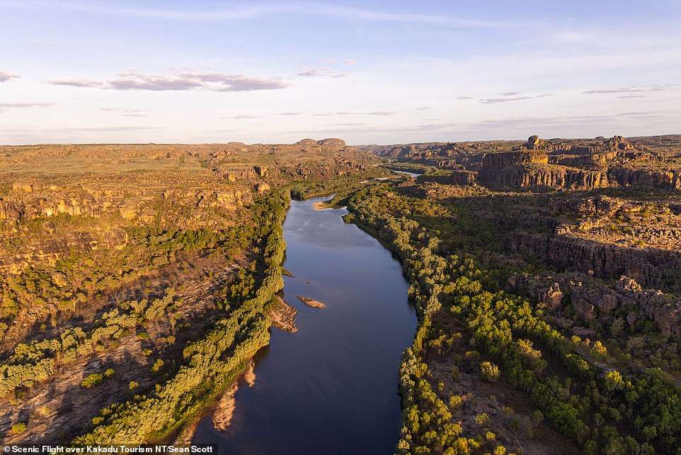 Canapes with cows, bush tucker at sunrise, croc spotting and a helicopter pub crawl: Why Australia’s Northern Territory is the perfect adventure holiday